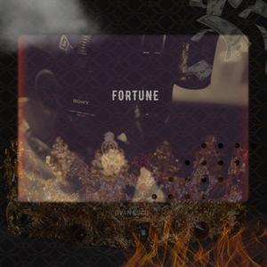 Fortune (Explicit)