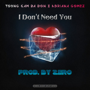I Don't Need You (Explicit)