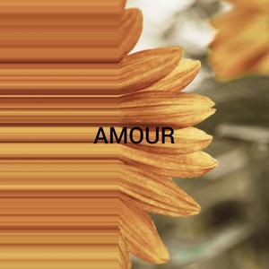 Amour (Explicit)