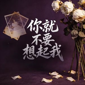 你就不要想起我