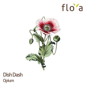 Dish Dash - Don't Tell My Secrets