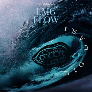 LMG Flow (Explicit)