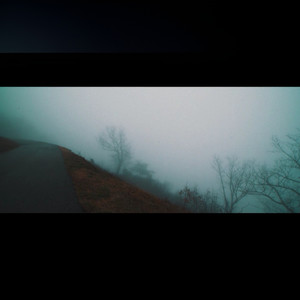 君の脈で踊りたかった