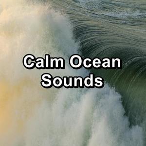 Calm Ocean Sounds