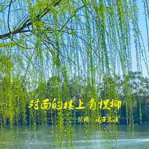 朗诵：对面的楼上有棵柳树