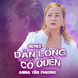 Dặn Lòng Cố Quên (Remix)