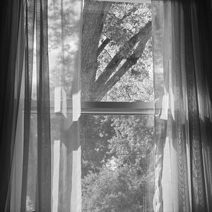 PRESONUM (INSTRUMENTAL)