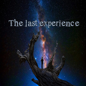 The Last Experience