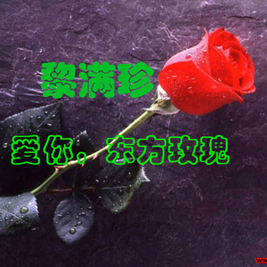 爱你东方玫瑰