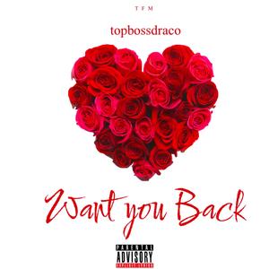 Want you Back (Explicit)