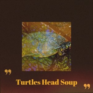 Turtles Head Soup