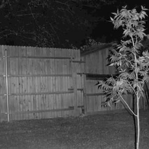 Stay away (Explicit)