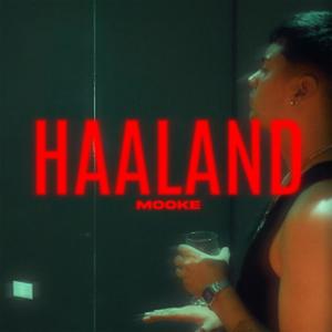 Haaland