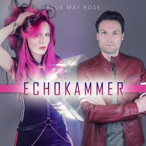 Echokammer