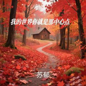 我的世界你就是那中心点