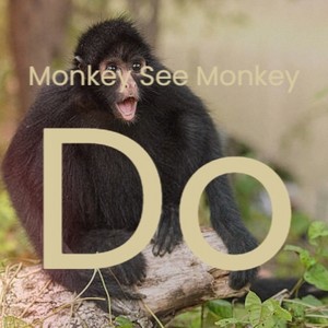 Monkey See Monkey Do