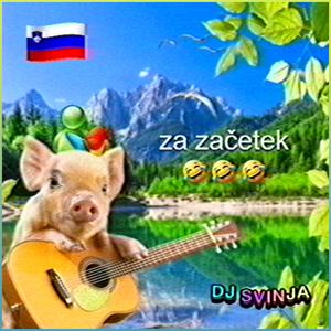 FRACA (DJ SVINJA Remix)