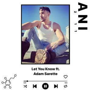 Let You Know (feat. Adam Sarette)