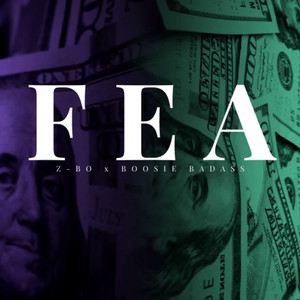 F.E.A (Explicit)