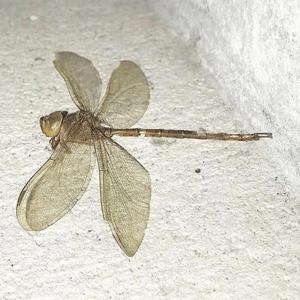 Let's go storm chasing