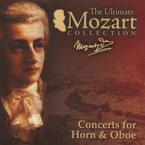 Horn Concerto No. 1 in D Major, K. 412 - I. Allegro