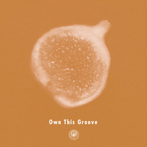 Own This Groove(feat. Liyv)