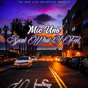 Speak What I Feel (Explicit)