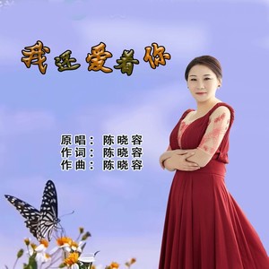 我还爱着你