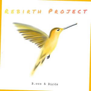 Rebirth Project (Explicit)