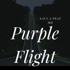 Purple Flight