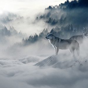 Seismic Calm