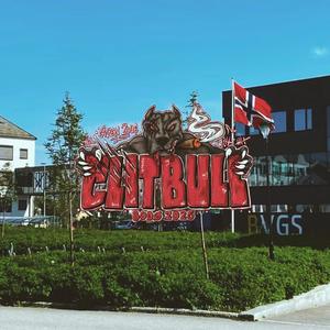 Top Dawg (Clitbull) (feat. DJ GING & MoshPeet|Explicit)