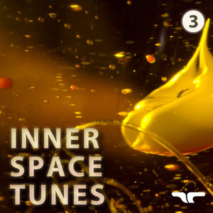 Inner Space Tunes, Vol. 3