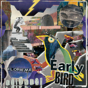 Early Bird