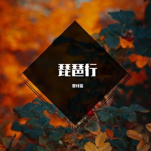 琵琶行 (女版独唱)