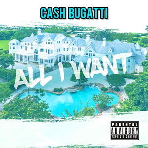 ALL I WANT (Explicit)