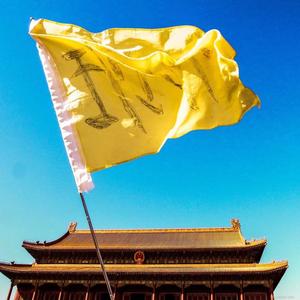 钻进虾子的黑线等你