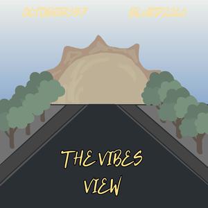 The Vibes View