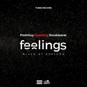 Feelings (feat. Smokieacer) [Explicit]