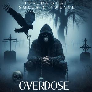 Overdose (feat. SmeZa & Twenge) (Explicit)