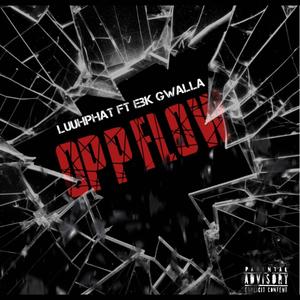 Opp Flow (feat. Ebk Gwalla) (Explicit)