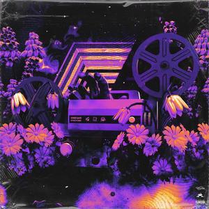 Vinegar Syndrome(feat. D'Haelo & Theo) (Explicit)
