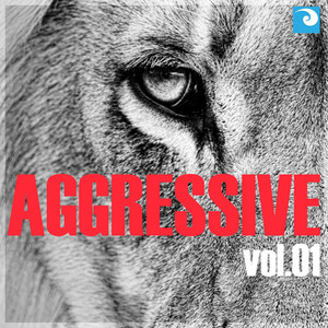 Aggressive Vol. 01