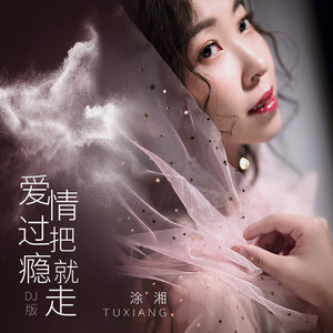 爱情过把瘾就走 (DJ版)