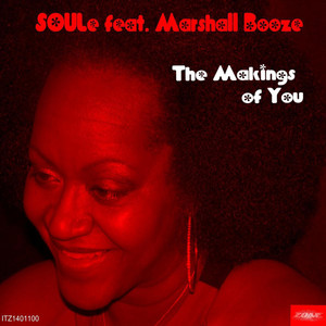 The Makings of You (Remixes)