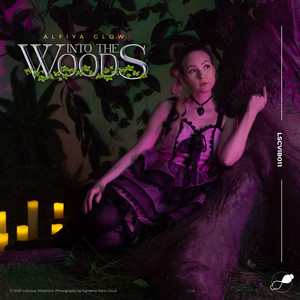 Into the Woods (Joshua Moreno's Midnight Mix - Edit)