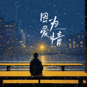 藤柒吖《因为爱情》[MP3_LRC]_MP3免费下载