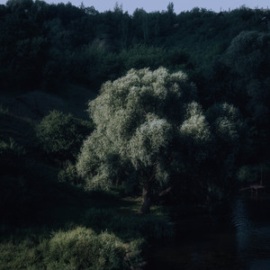 take me home (speed up)