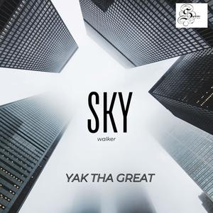 SKY WALKER (Explicit)