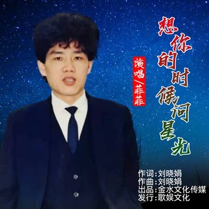 想你的时候问星光